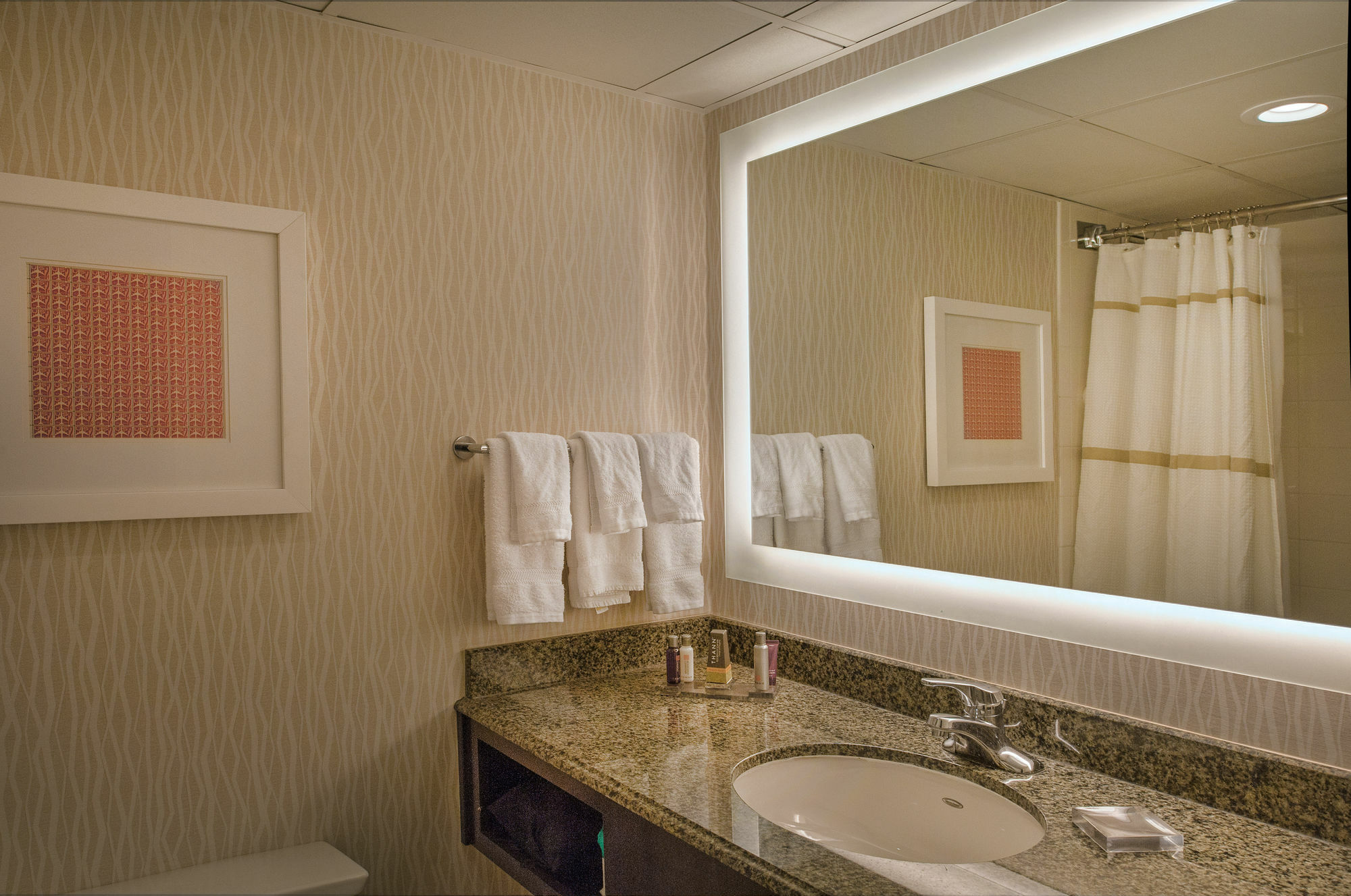 แมริออท เซนต์หลุยส์ แอร์พอร์ต Hotel Edmundson ภายนอก รูปภาพ
